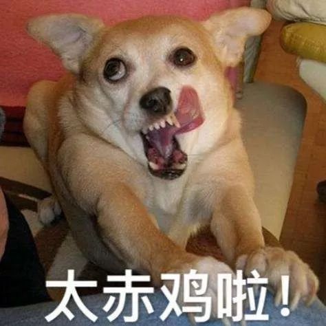说好的建国后不准成精,这些表情包怎么回事