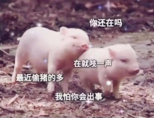 抖音热门潮图表情