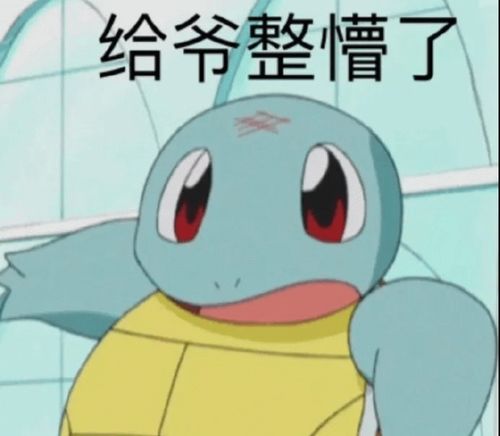 搞笑表情包,杰尼龟系列第二期