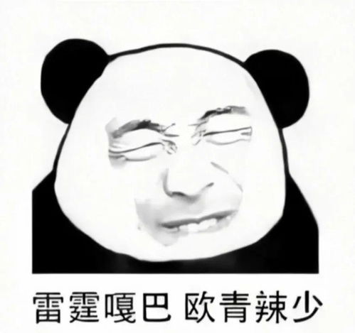 熊猫头表情包i正能量嗷铁子