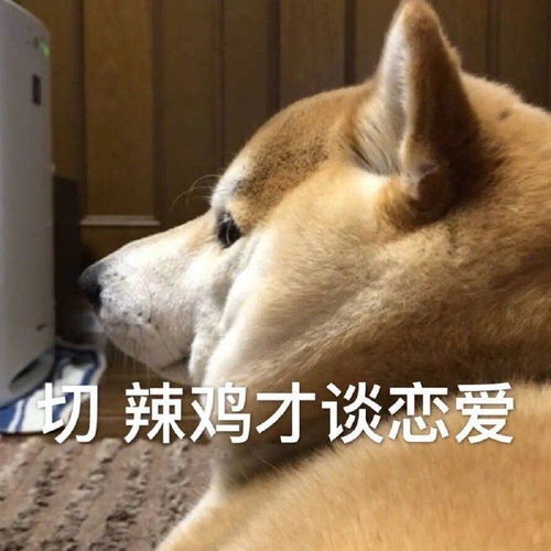 那些让单身狗欲罢不能的单身沙雕文案