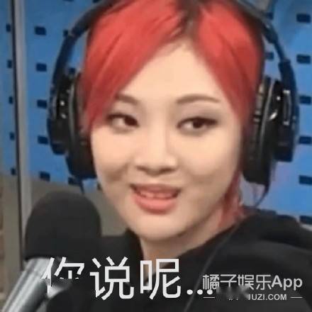 吴京接班人拿放哥蔡亨源成新晋表情包大户,谁想是韩团门面