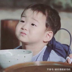 表情包男孩宋民国长大后照片大变样,网友可别长成小岳岳