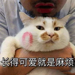 叮咚这份藏在快递盒上的暖心秘密,竟治愈了无数上海人
