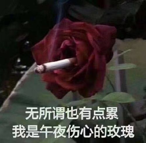 女明星才是吃瓜第一线张雨绮后台八卦小鲜肉被录,压热搜被泄露了