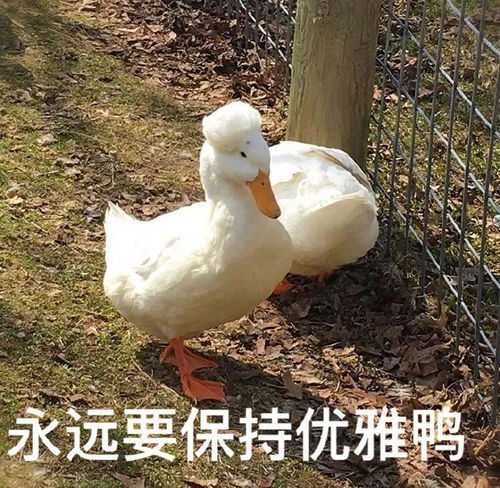 暴降14霍邱天气又要骤变最低8,霍邱人赶紧