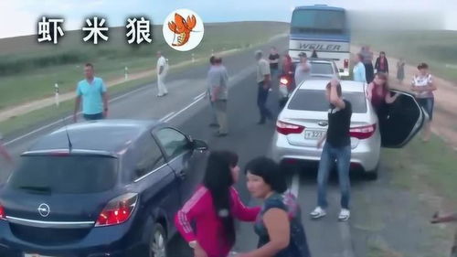 这就是所谓的好奇害死猫吧