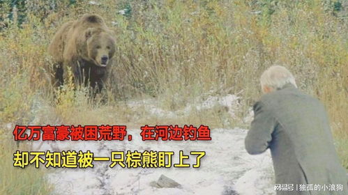 亿万富豪被困荒野,在河边钓鱼,却不知道被一只棕熊盯上了,电影