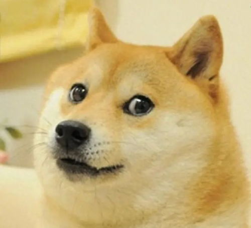 狗头表情包搞笑