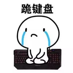 跪下认错表情包网民