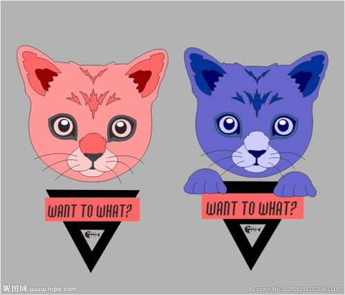 可怜猫图片