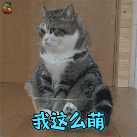 现做月饼放心吗今天,海宁详查多家大酒店餐馆后厨...