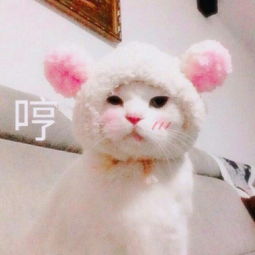 宜喜过浓的微博微博