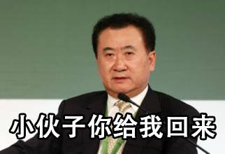 表情与斗图146王健林一个亿表情包