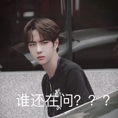 听说这些小哥哥你都可快来康康