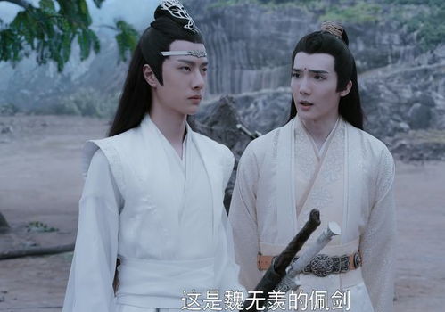 蓝忘机来到聂家,谁注意金子轩说了什么他才是最早发现忘羡的人
