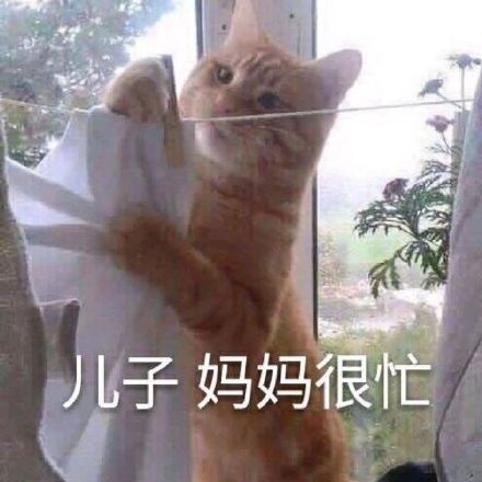 小鱼委屈抹眼泪表情包