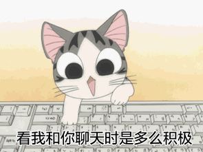 每天沉迷吸猫不能自拔的我,居然看到有一群喵星人,这个元宵节要来搞事情