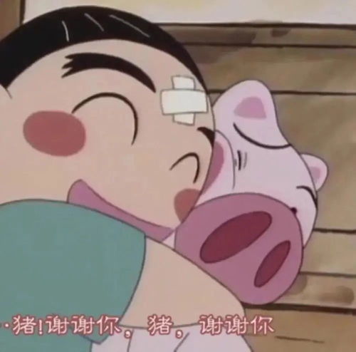 表情包猫猫哪里知道