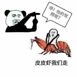 皮皮猪最新表情包下载皮皮猪我们走表情包下载高清无水印腾牛下载