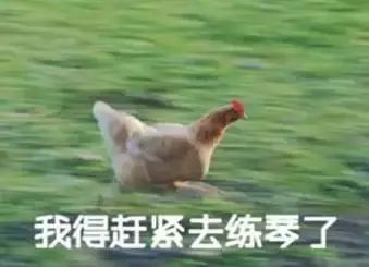 音乐生必备表情包,哈哈哈哈哈哈哈哈哈