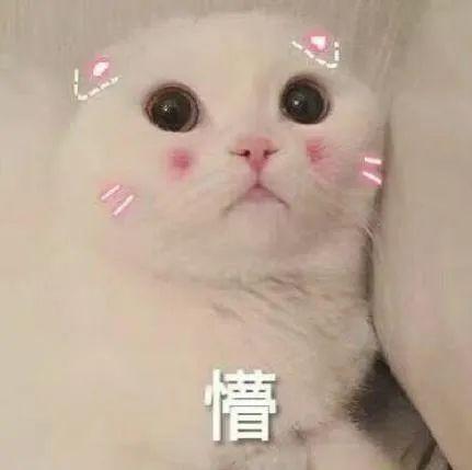 太难了结婚买房被骗最后还要为骗子着想