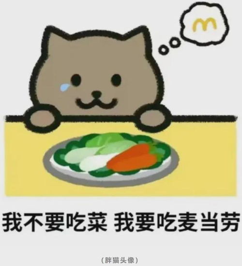 21岁纯爱战神胖猫事件后续,魔幻照进现实