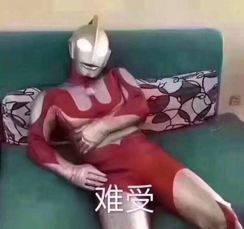 捶墙夸的餐具还不到13块一只放蛋炒饭都美爆了