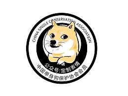 大啊表哥的推荐内容zcool
