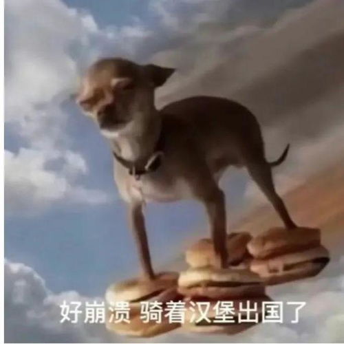 一组神经兮兮的表情包