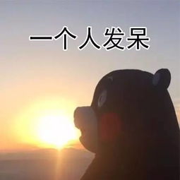 520,一个人心疼自己