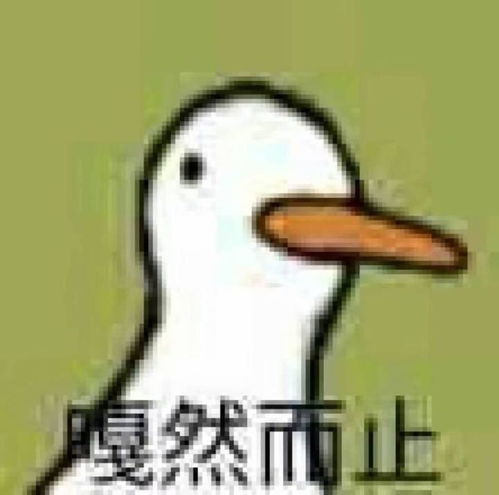 我的收藏夹