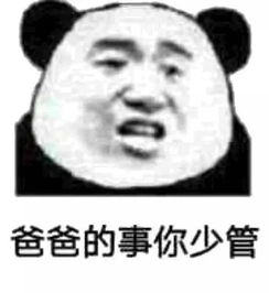 熊猫头斗图表情包爸爸的事,你少管