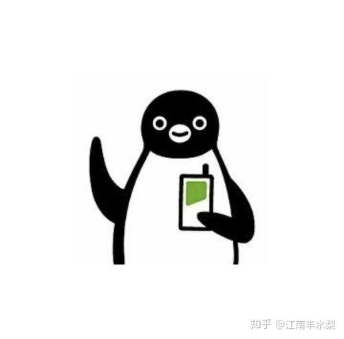 日本的一个小企鹅叫什么
