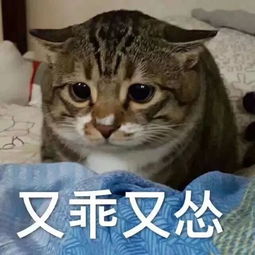 医学生专用表情包,拿走不谢