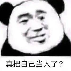 乱七八糟的表情包,我可太喜欢了