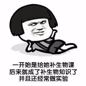 说带我打王者结果我到现在还是青铜