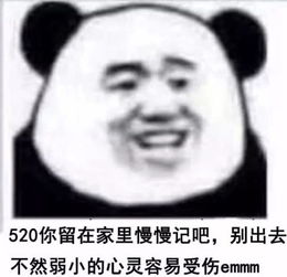 520怼情侣表情包,你们尽管秀,明年还是这个人算我输