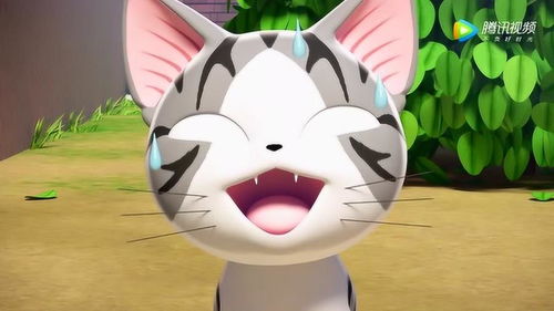 甜甜私房猫小奇终于想起来昨天发生的事,大黑有点小崩溃