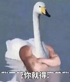 男生该不该惯着自己的女朋友