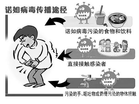 诺如病毒又双叒叕来袭,快看看如何科学防治