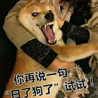 日了狗了暴走表情包