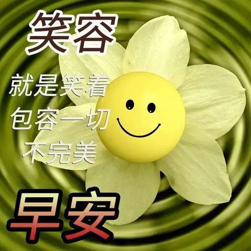 早上好,既来之,则安之,这才是生存之道早安爱情初恋真爱网易订阅