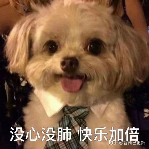 考研调剂去比自己本科还差的学校值得吗