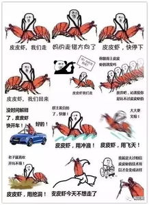 皮皮猪表情包图片考前