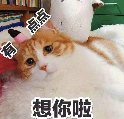 非常实用的表情包合集