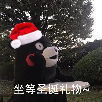 可怜无助有肥胖表情包圣诞节