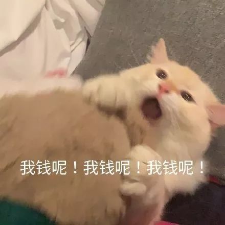 表情包分享丨生活最重要的就是哈哈哈哈哈