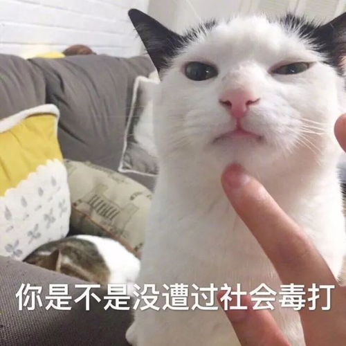 高铁狂飙脏话的泼女霸被指曾在出租车上把泼撒...