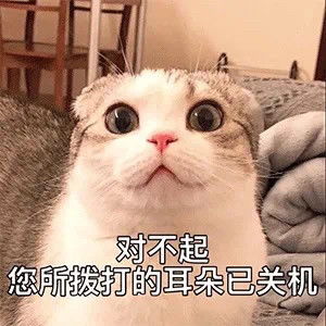 表情包用我的可爱眩晕你